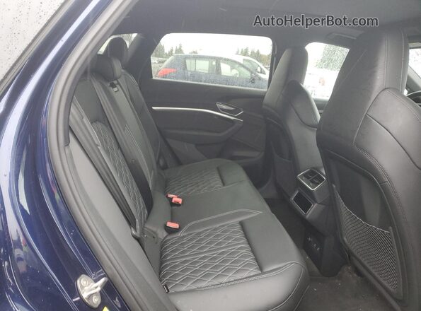 WA1ACBGE1NB047259 2022 AUDI E-TRON Синий Вид задней части салона