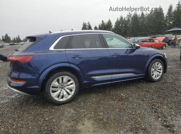 WA1ACBGE1NB047259 2022 AUDI E-TRON Синий Задняя правая четверть