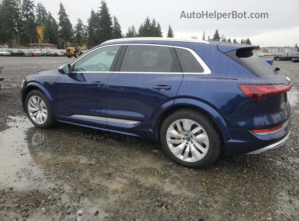 WA1ACBGE1NB047259 2022 AUDI E-TRON Синий Задняя левая четверть