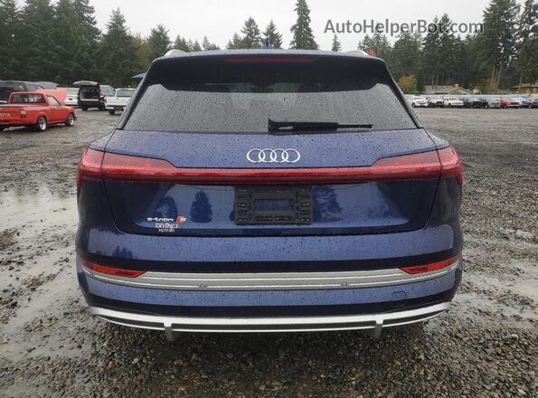 WA1ACBGE1NB047259 2022 AUDI E-TRON Синий Вид сзади