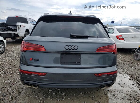 WA1B4AFY7R2052799 2024 AUDI SQ5 Gray უკანა ხედი