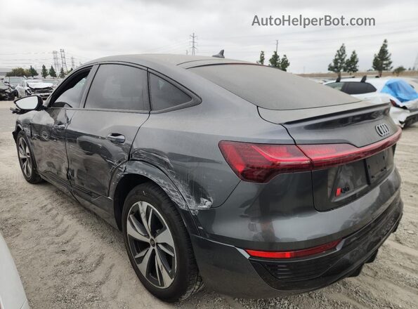 WA1BAAGE4RB025573 2024 AUDI Q8 Gray Tył lewy