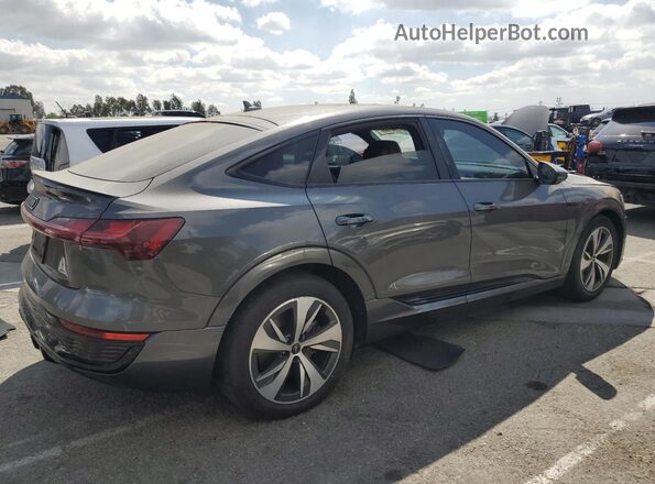 WA1BAAGE4RB025573 2024 AUDI Q8 Gray Tył prawy