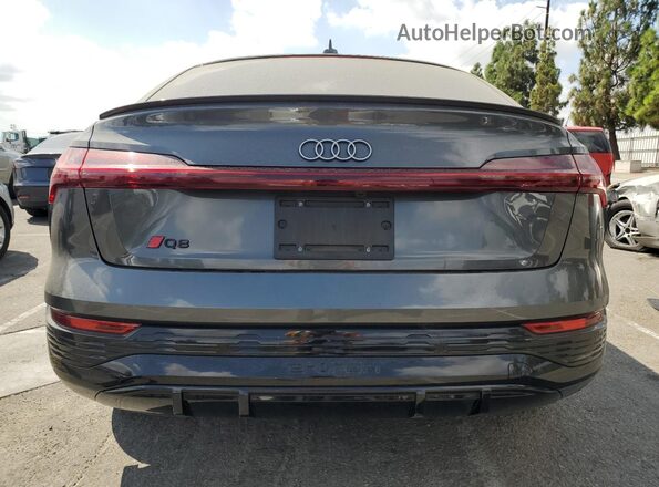 WA1BAAGE4RB025573 2024 AUDI Q8 Gray Widok z tyłu