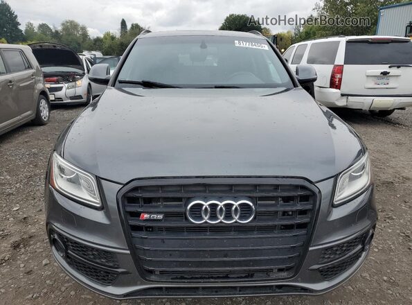 WA1CCAFP2GA073108 2016 AUDI SQ5 Gray Vista frontal
