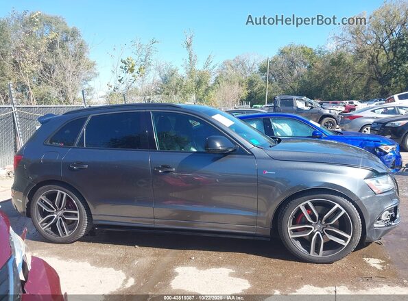WA1CCAFP2HA046086 2017 AUDI SQ5 Серый Панорамный вид салона 360°