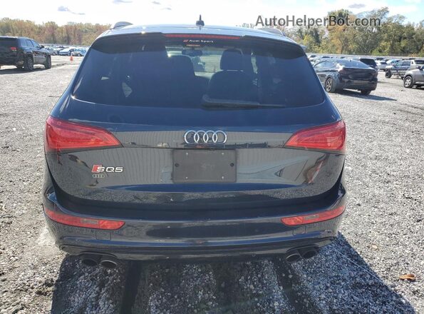 WA1CCAFPXHA042903 2017 AUDI SQ5 Синий Вид сзади