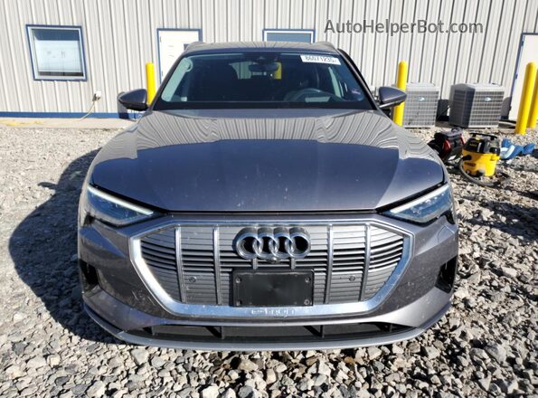 WA1VAAGE6MB018114 2021 AUDI E-TRON Серый Вид спереди