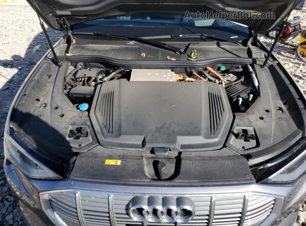 WA1VAAGE6MB018114 2021 AUDI E-TRON Серый Вид задней части салона