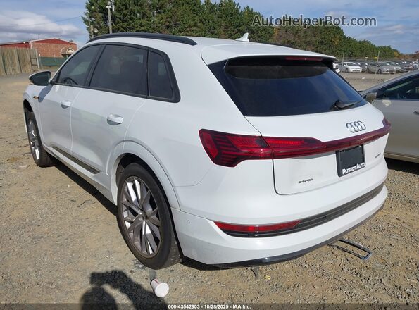 WA1VAAGE8MB038896 2021 AUDI E-TRON White Trasero izquierdo