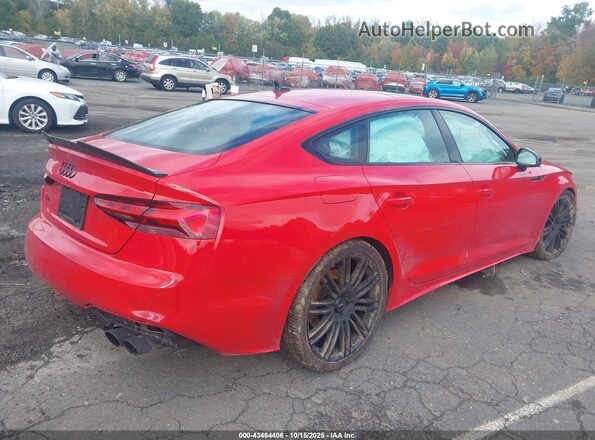 WAUC4CF56RA106902 2024 AUDI S5 Red Задня права чверть