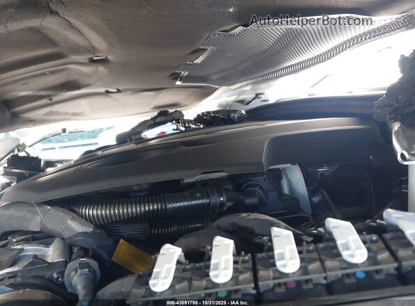 WAUC4CF57SA014963 2025 AUDI ALL Белый Вид сзади