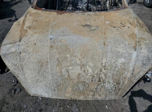 WAUP4AF5XLA004984 2020 AUDI S5 Burn Вид задньої частини салону
