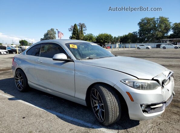 WBA1F9C55GV546740 2016 BMW 2 SERIES Silver Առջևի աջ
