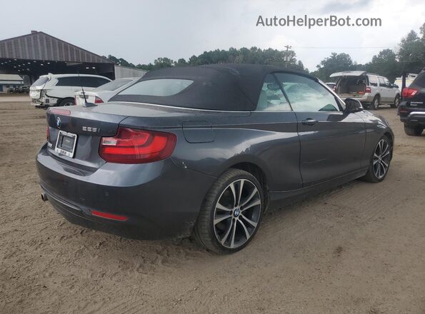 WBA1K9C5XGV710009 2016 BMW 2 SERIES Gray Rear right
