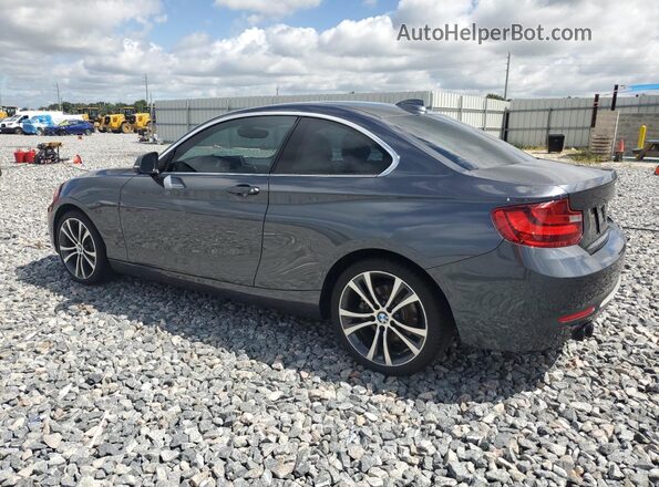 WBA2F9C36HV664946 2017 BMW 2 SERIES Gray Задня ліва чверть