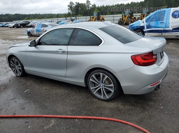 WBA2F9C37H7A40242 2017 BMW 2 SERIES Silver Հետևի ձախ