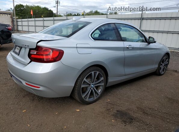 WBA2F9C55HV635715 2017 BMW 2 SERIES Silver Trasero derecho