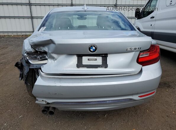 WBA2F9C55HV635715 2017 BMW 2 SERIES Silver Vista trasera