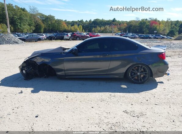 WBA2G3C34H7A25384 2017 BMW M2 Gray 