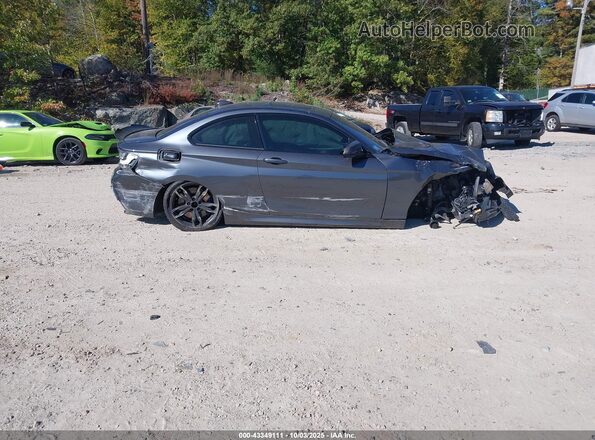 WBA2G3C34H7A25384 2017 BMW M2 Gray Սալոնի 360 աստիճան տեսք