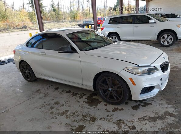WBA2G3C52HV640963 2017 BMW M2 White Вид задньої частини салону