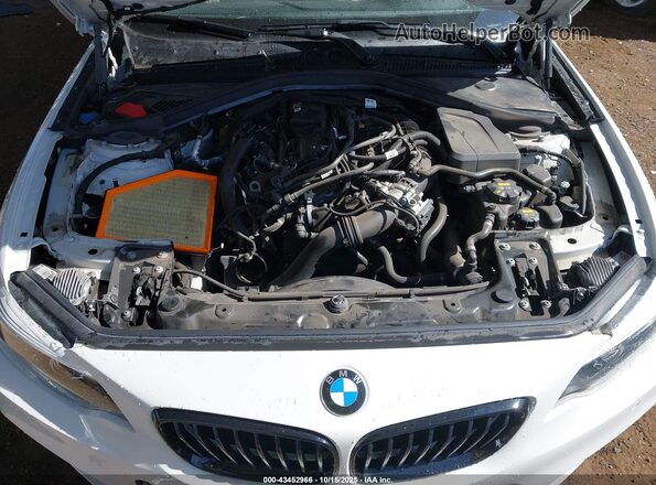 WBA2J1C08L7E59750 2020 BMW 2 SERIES White Вид ззаду