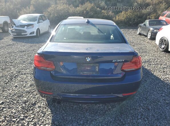 WBA2J1C5XKVD09953 2019 BMW 2 SERIES Blue Հետևի տեսք