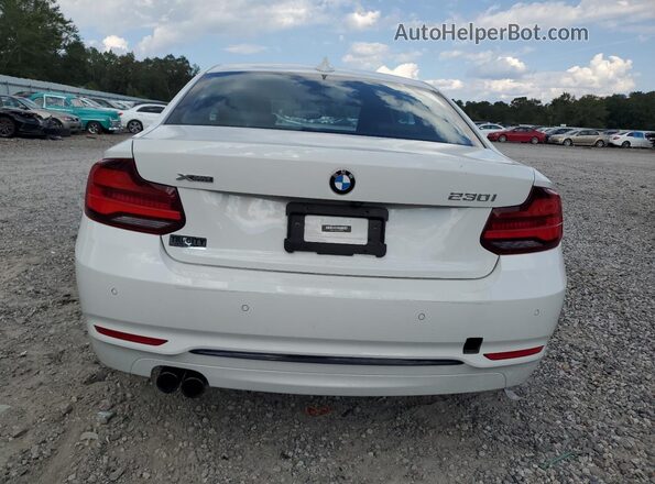 WBA2J3C08L7E04274 2020 BMW 2 SERIES White Rear view