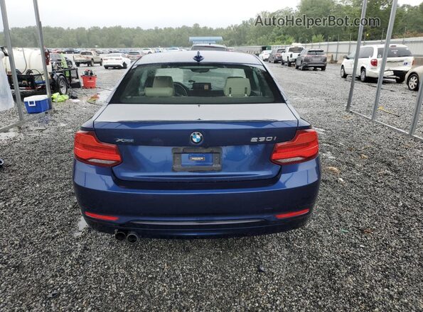 WBA2J3C53JVA49955 2018 BMW 2 SERIES Синий Вид сзади