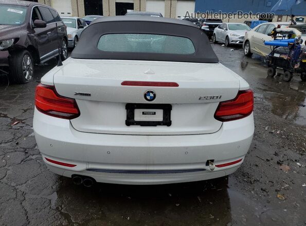 WBA2K1C52JVD41260 2018 BMW 2 SERIES White Widok z tyłu