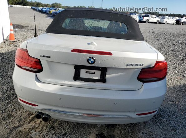 WBA2K1C53KVD41981 2019 BMW 2 SERIES White უკანა ხედი