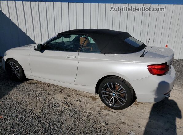 WBA2K1C53KVD41981 2019 BMW 2 SERIES White უკანა მარცხენა
