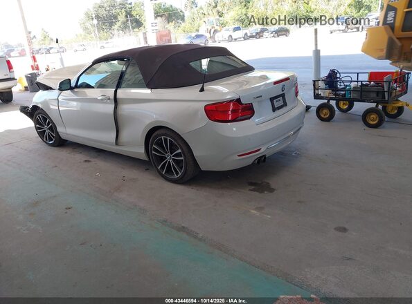 WBA2K1C54JVB64663 2018 BMW 2 SERIES White Задня ліва чверть
