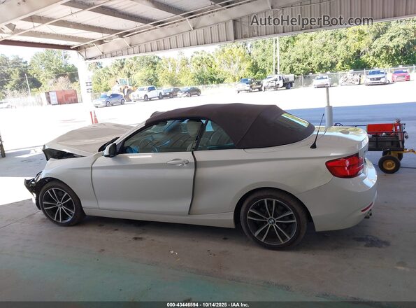 WBA2K1C54JVB64663 2018 BMW 2 SERIES White Панорамний вид салону 360°