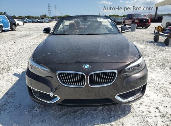 WBA2K9C34HV647462 2017 BMW 2 SERIES Brown წინა ხედი