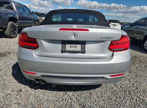 WBA2M7C51JVD51467 2018 BMW 2 SERIES Серебряный Вид сзади
