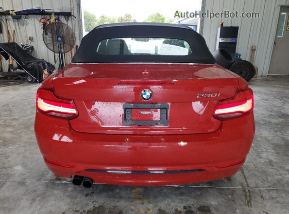 WBA2M7C53JVD51745 2018 BMW 2 SERIES Red Widok z tyłu