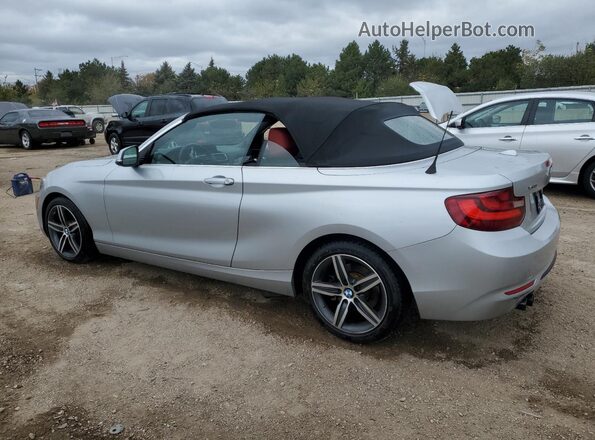 WBA2M9C54HV717425 2017 BMW 2 SERIES Silver Հետևի ձախ