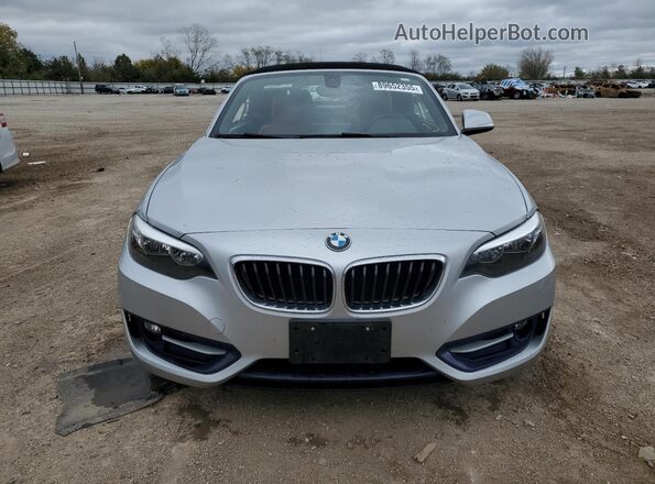 WBA2M9C54HV717425 2017 BMW 2 SERIES Silver Դիմացի տեսք