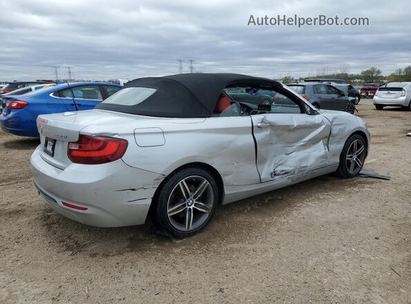 WBA2M9C54HV717425 2017 BMW 2 SERIES Silver Հետևի աջ