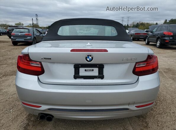 WBA2M9C54HV717425 2017 BMW 2 SERIES Silver Հետևի տեսք