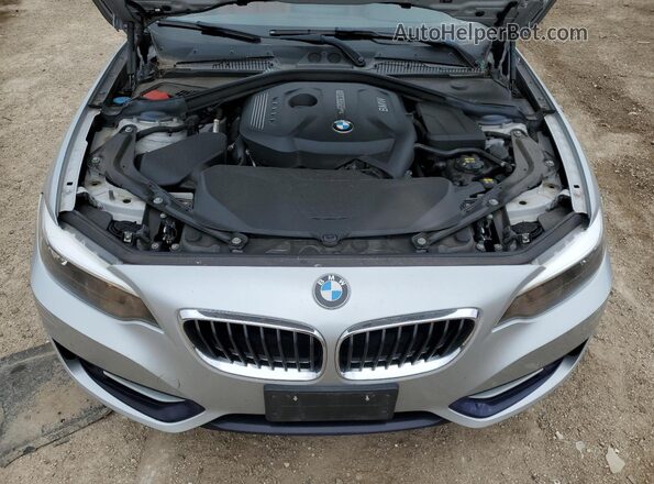 WBA2M9C54HV717425 2017 BMW 2 SERIES Silver Սալոնի հետևի տեսք