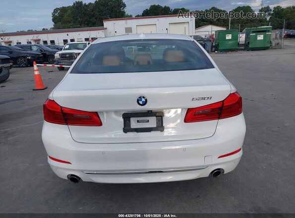 WBAJR3C01LWW69450 2020 BMW 5 SERIES White 