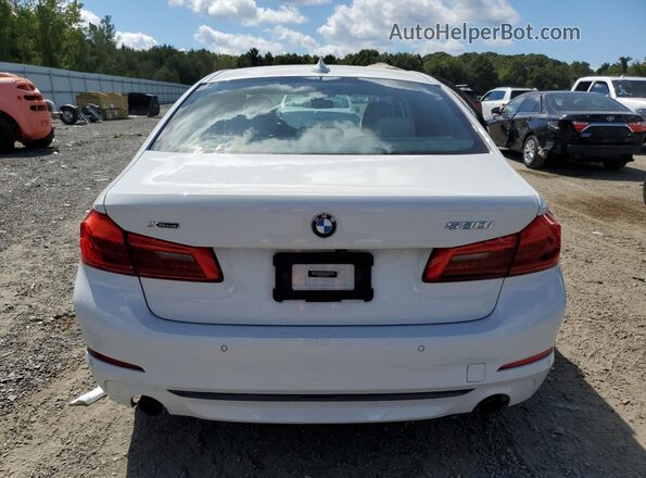 WBAJR7C05LWW80412 2020 BMW 5 SERIES Белый Вид сзади