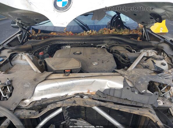 WBX57DP08PN216239 2023 BMW X3 White Vista de la etiqueta del VIN