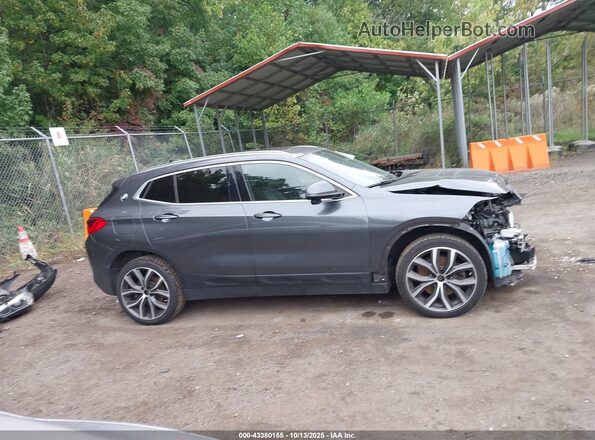 WBXYJ1C04L5P27718 2020 BMW X2 Gray Панорамний вид салону 360°