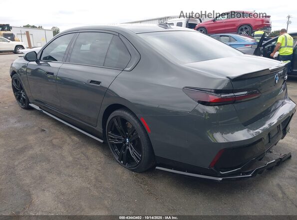 WBY43EJ05RCR10404 2024 BMW OTHER Gray Tył lewy
