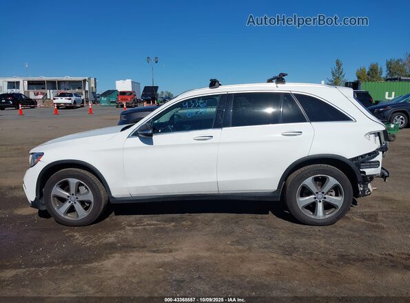WDC0G4JB9HF191293 2017 MERCEDES-BENZ GLC 300 Белый 