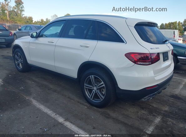 WDC0G8EB8LF731713 2020 MERCEDES-BENZ GLC 300 White Tył lewy